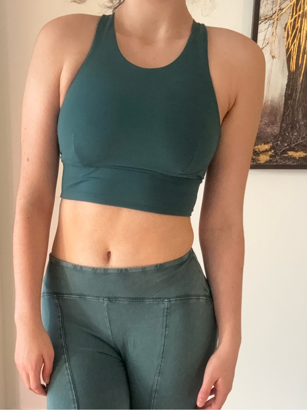 lululemon athletica Deep Teal High-Neck Sports Bra